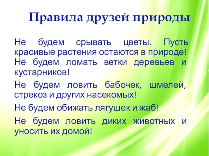 Не будем срывать цветы. Пусть красивые растения остаются в природе!Не будем ломать