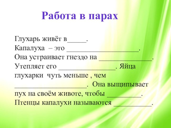 Работа в парахГлухарь живёт в_____.Капалуха – это ___________________. Она устраивает гнездо на