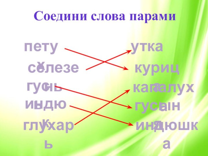 Соедини слова парами петухселезеньгусьиндюкглухарьуткаиндюшкагусынякурицакапалуха