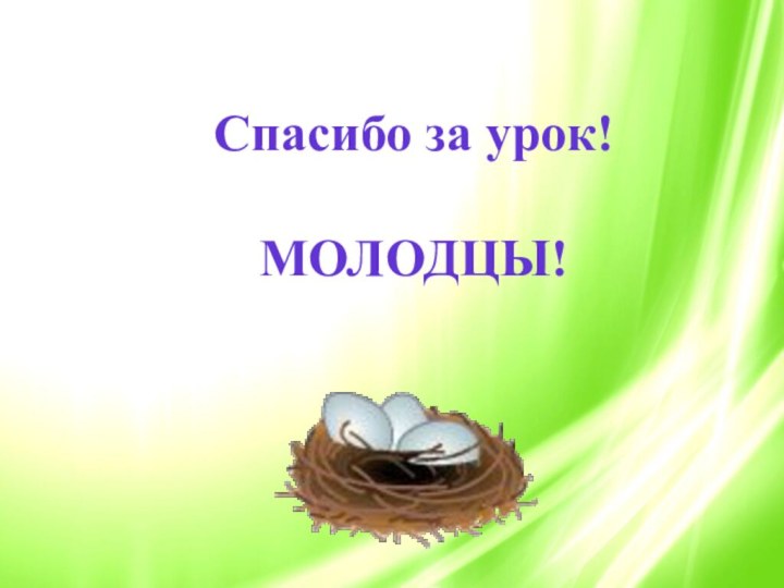 Спасибо за урок!МОЛОДЦЫ!