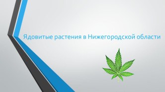 Презентация по ОБЖ на тему Ядовитые растения (8 класс)