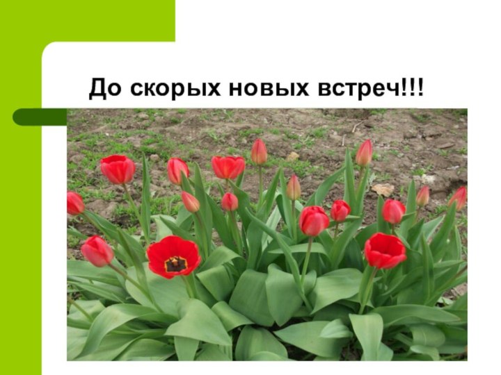 До скорых новых встреч!!!