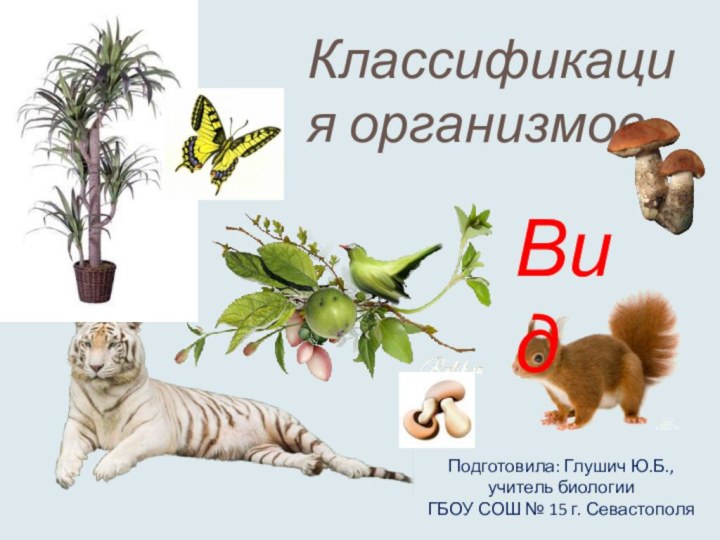 ВидКлассификация организмовПодготовила: Глушич Ю.Б.,  учитель биологии ГБОУ СОШ № 15 г. Севастополя