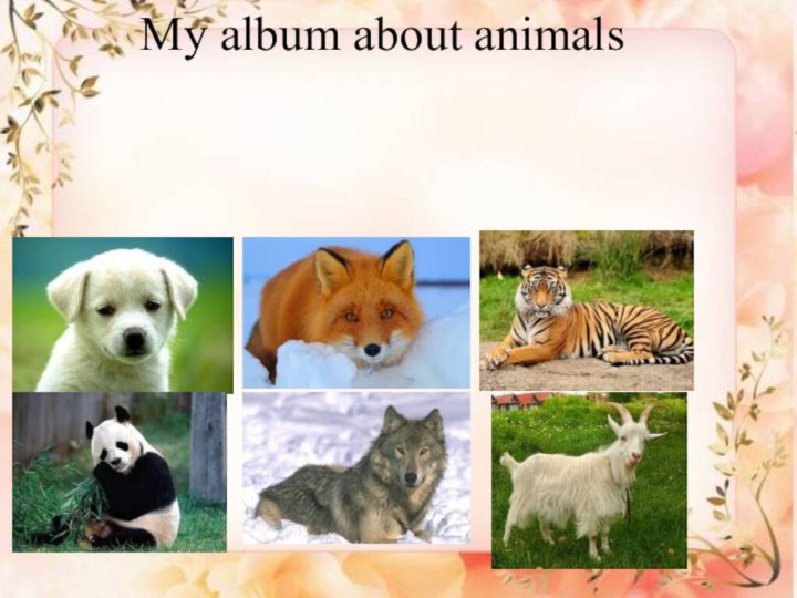 My album about animals