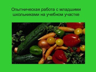 Презентация по опытнической работе в сельской малокомплектной школе