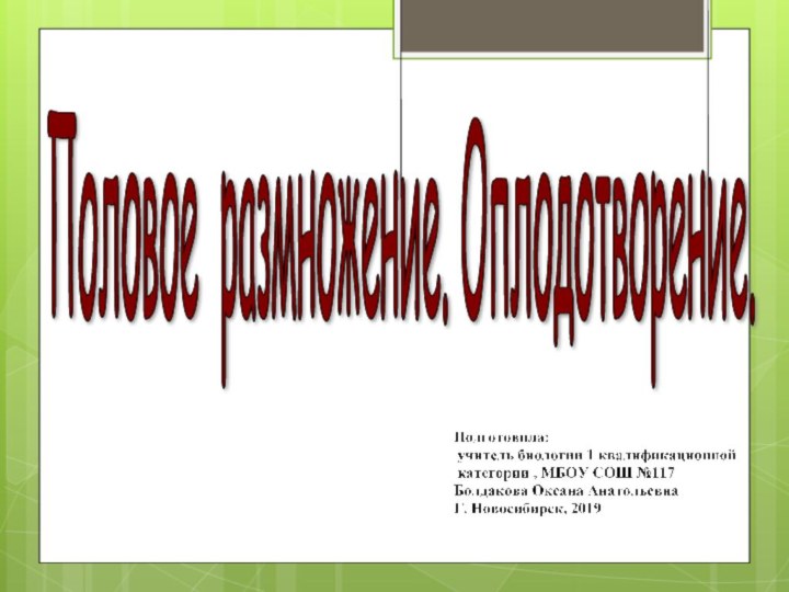 Половое размножение. Оплодотворение.