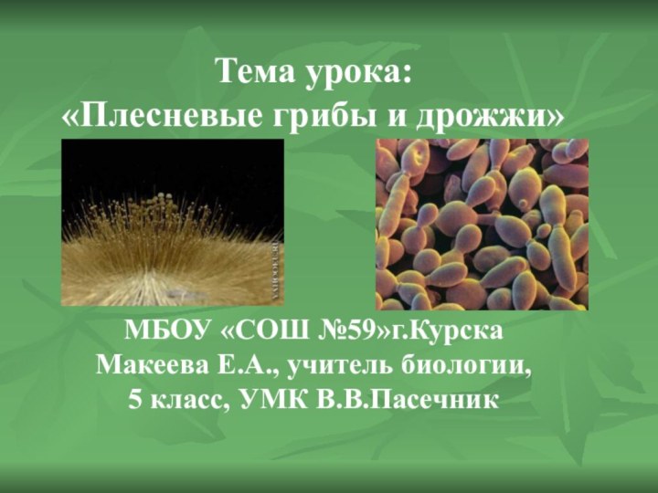 Тема урока:«Плесневые грибы и дрожжи»МБОУ «СОШ №59»г.КурскаМакеева Е.А., учитель биологии, 5 класс, УМК В.В.Пасечник