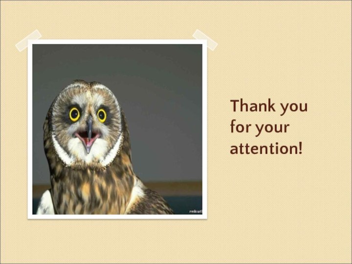 Thank you for your attention!