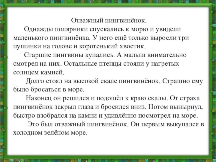 Отважный пингвинёнок.   Однажды полярники спускались к морю и увидели маленького