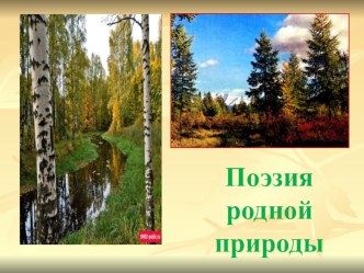 Презентация к уроку литературы в 8 классе на тему Поэзия родной природы.