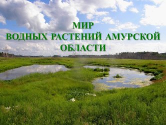 Мир водных растений