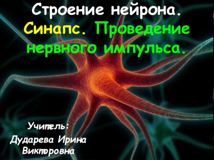 Строение нейрона. Синапс. Проведение нервного импульса.Учитель:Дударева Ирина Викторовна