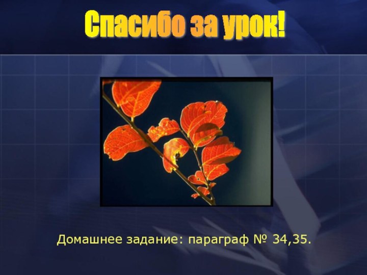 Спасибо за урок!Домашнее задание: параграф № 34,35.