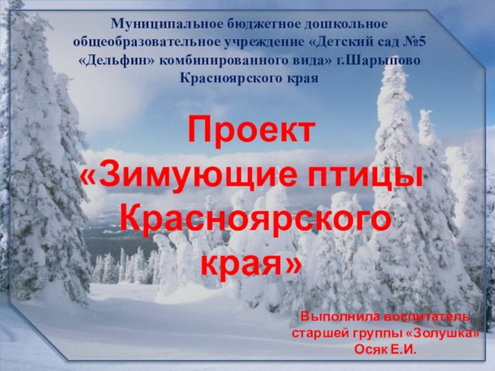 Проект«Зимующие птицы Красноярского края»Выполнила воспитатель старшей группы «Золушка» Осяк Е.И.Муниципальное бюджетное дошкольное