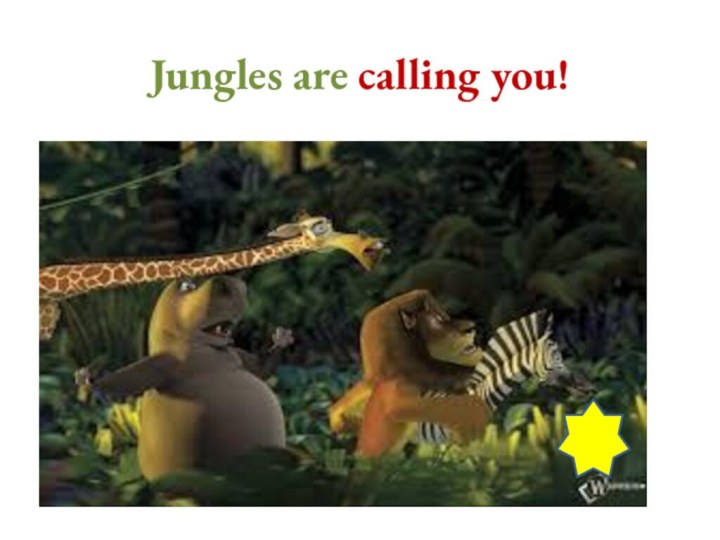 Jungles are calling you!