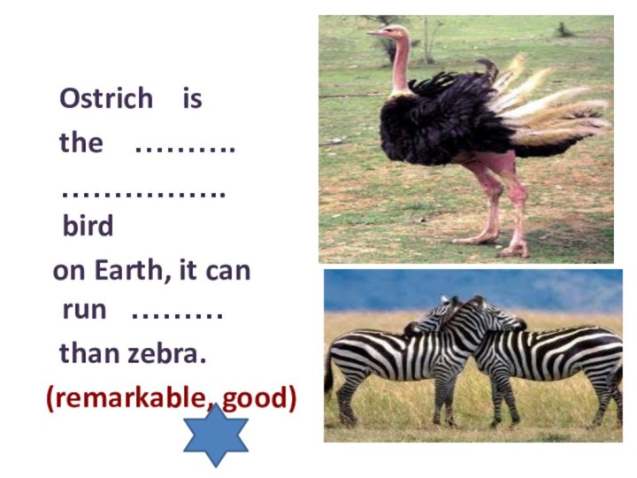 Ostrich  is  the  ……….  …………….