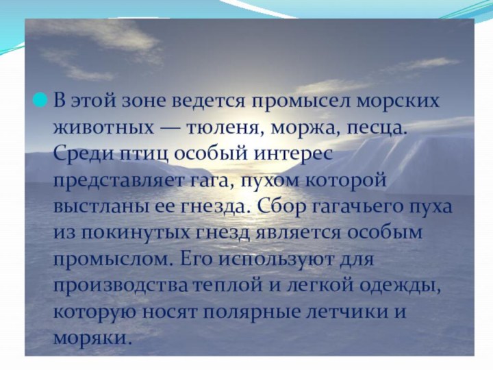 В этой зоне ведется промысел морских животных — тюленя, моржа, песца. Среди