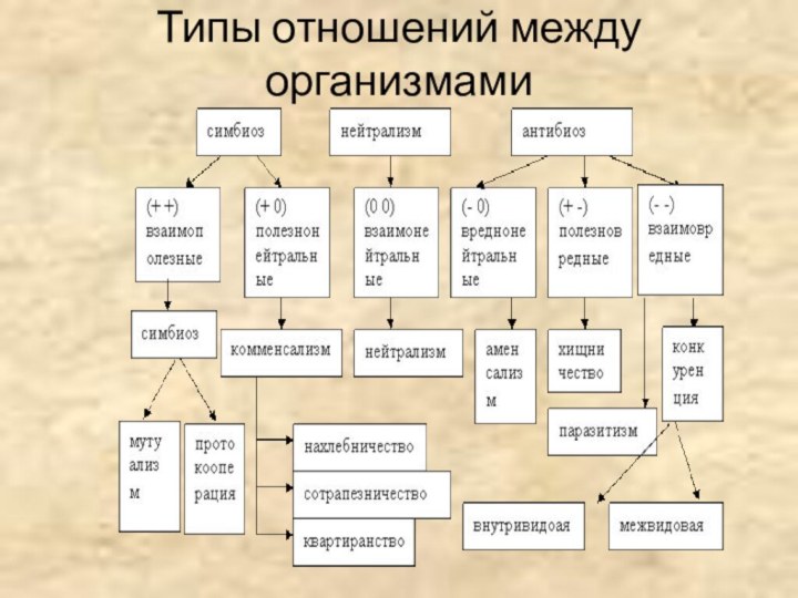 Типы отношений между организмами