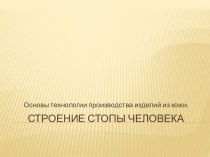 Презентация По ОП 02 Основы технологии изделий из кожи.Профессия 29.1.03 Сборщик обуви.