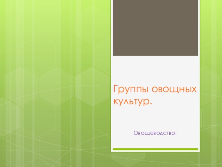 Группы овощных культур.Овощеводство.