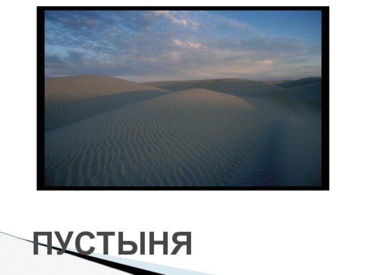 ПУСТЫНЯ