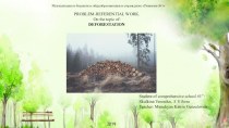 Презентация по английскому языку на тему  Deforestation