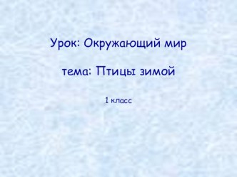 Презентация по окружающему миру на тему Птицы зимой (1 класс)