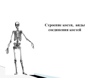 Презентация по анатомии и физиологии человека на тему Строение кости, виды соединения костей