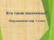 Урок окружающего мира в 1 классе Кто такие насекомые