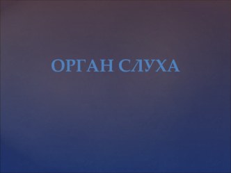 Презентация по биологии Орган слуха.