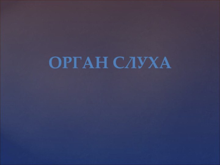 ОРГАН СЛУХА