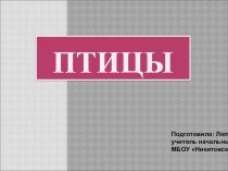 Презентация к уроку окружающего мира Виды птиц