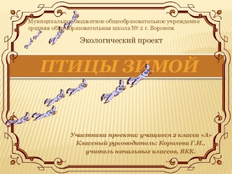 Экологический проект  Птицы зимой