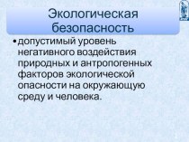 Презентация по охране труда на тему Экологическая безопасность