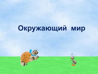 Презентация по окружающему миру на тему Почему нужно есть много овощей и фруктов.  (1 класс)