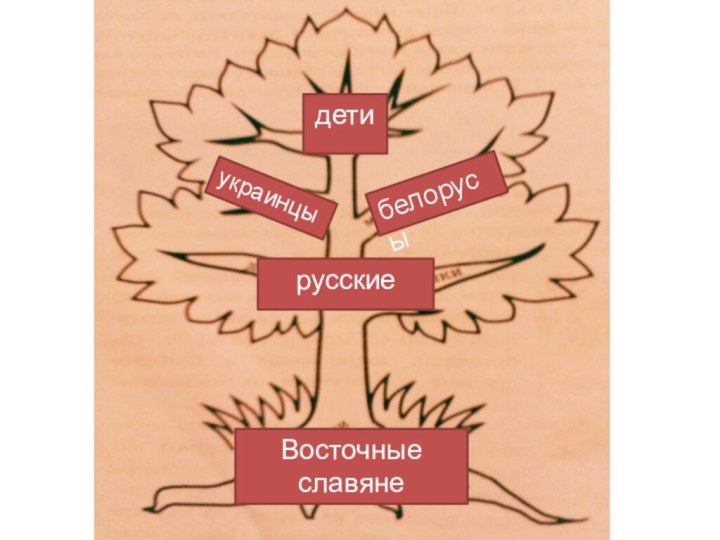 Восточные славянерусскиеукраинцыбелорусыдети