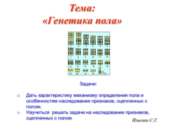 Тема: «Генетика пола»Ильенко С.Г.Задачи:Дать характеристику механизму определения пола и особенностям наследования признаков,