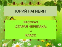 Презентация Рассказ Юрия Нагибина СТАРАЯ ЧЕРЕПАХА в 6 КЛАССЕ Внеклассное чтение.