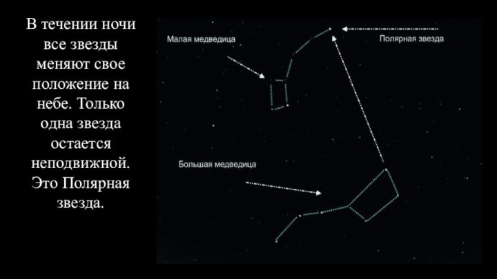 В течении ночи все звезды меняют свое положение на небе. Только одна