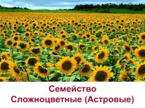 Презентация по теме Семейство Сложноцветные (Астровые)