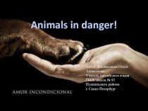 Презентация к уроку Дикие животные в опасности (6 класс)