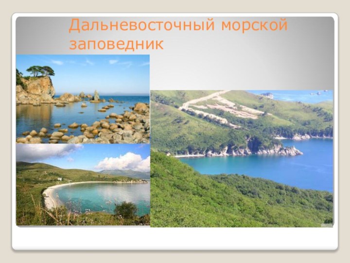 Дальневосточный морской заповедник