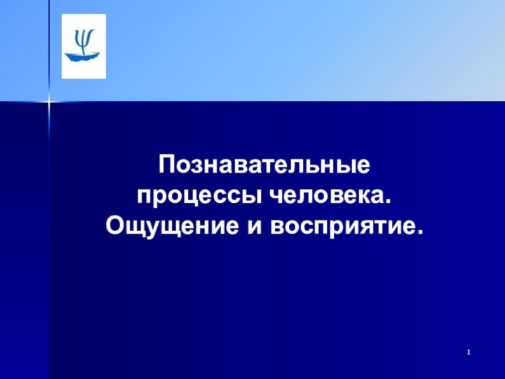 Познавательные процессы человека.Ощущение и восприятие.