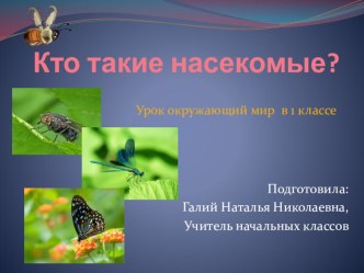 Презентация по окружающему миру Кто такие насекомые? (1 класс)