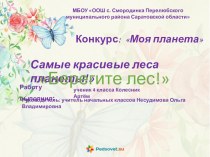 Презентация Самые красивые леса России Берегите лес!