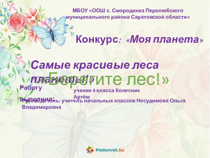 Работу выполнил:МБОУ «ООШ с. Смородинка Перелюбского муниципального района Саратовской области» ученик 4