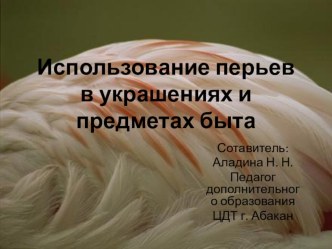 Использование перьев в украшениях и предметах быта