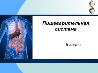 Презентация по биологии на тему Органы пищеварения (8 класс)