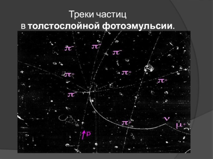 Треки частиц в толстослойной фотоэмульсии.