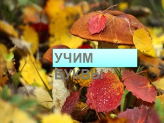 Презентация. Учим буквы. Буква О.